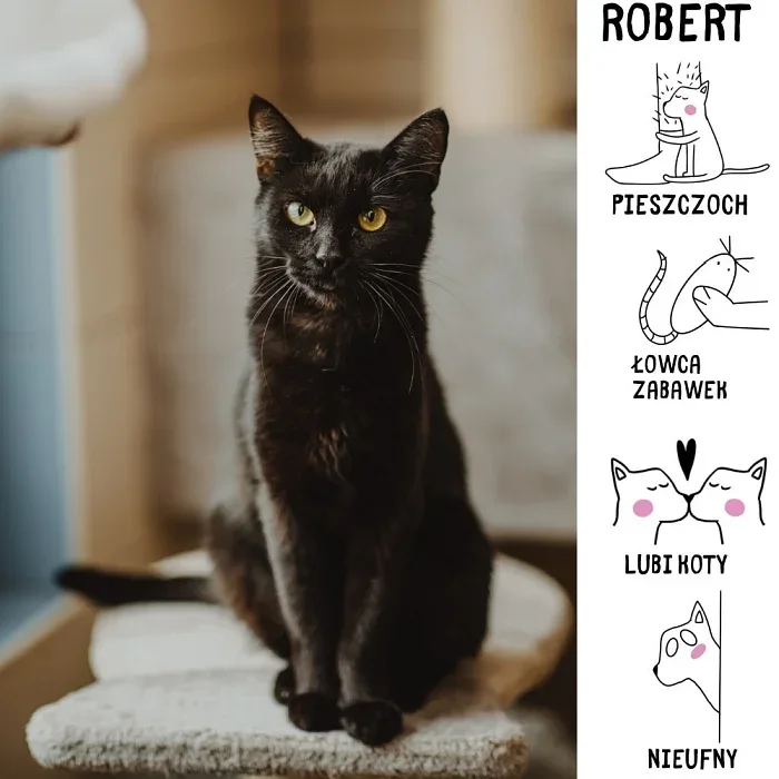 Robert