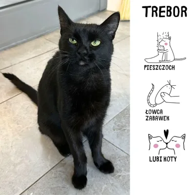 Trebor