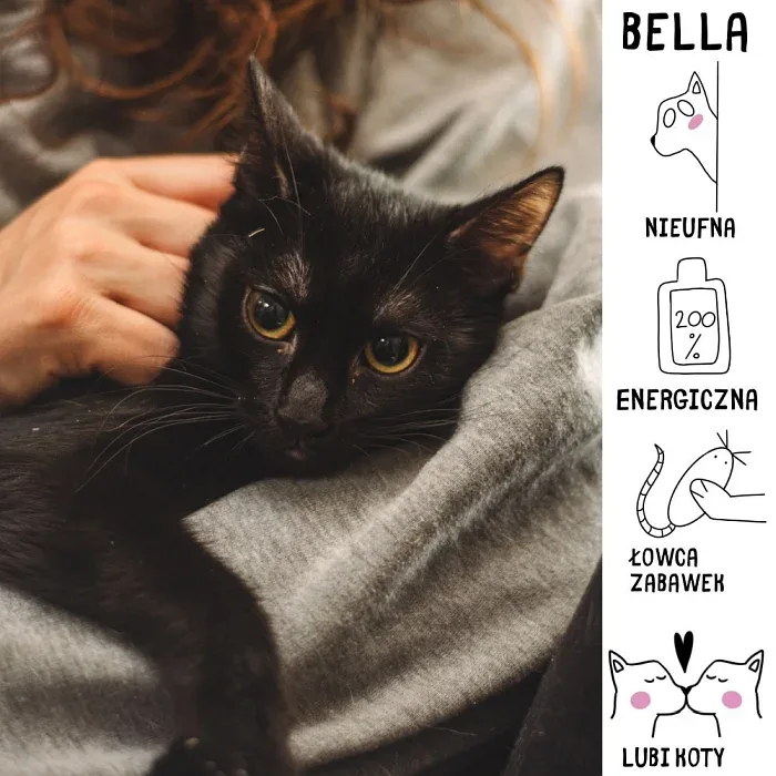 Bella