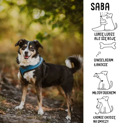 Saba
