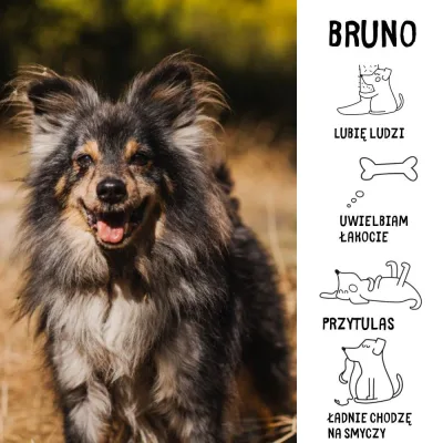 Bruno