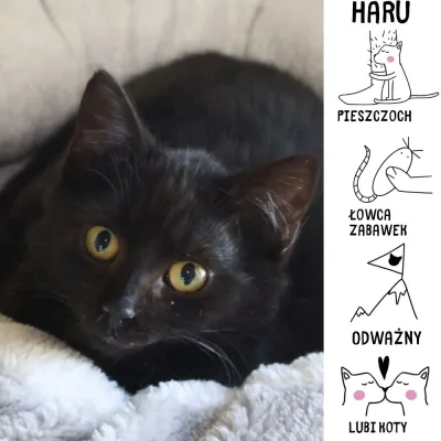 Haru