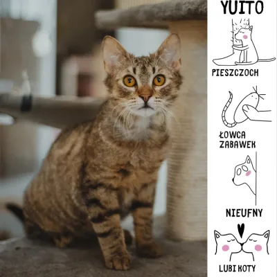 Yuito