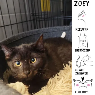 Zoey