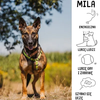Mila