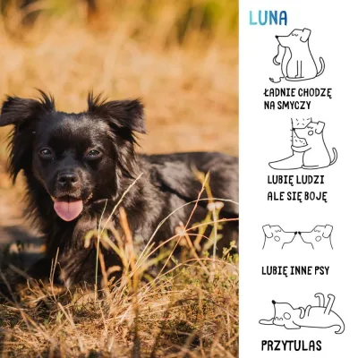 Luna