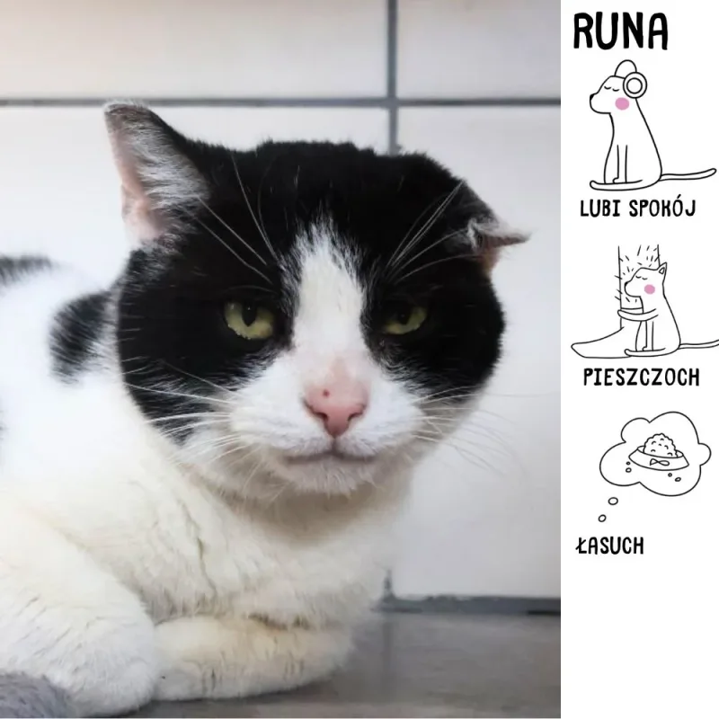 Runa