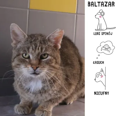 Baltazar