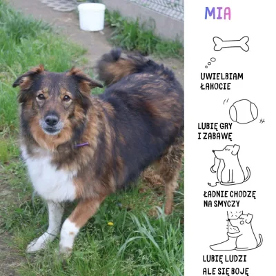 Mia