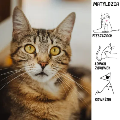 Matyldzia
