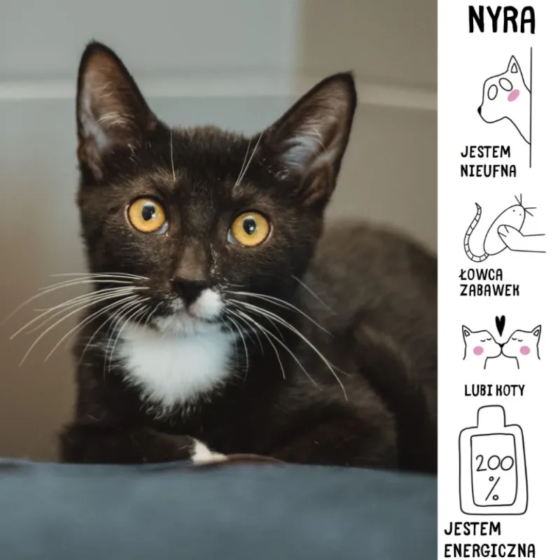Nyra