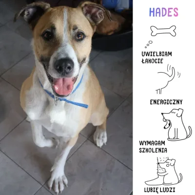 Hades