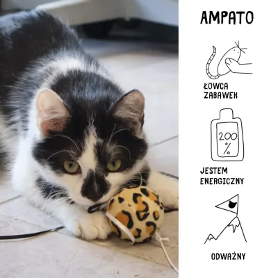 Ampato