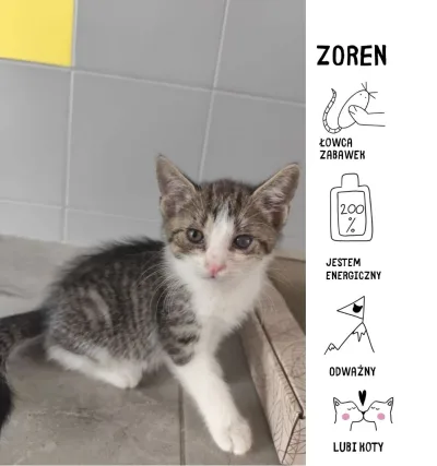 Zoren