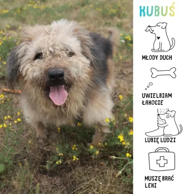 Kubuś