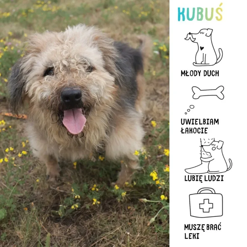 Kubuś