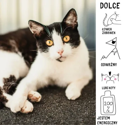 Dolce