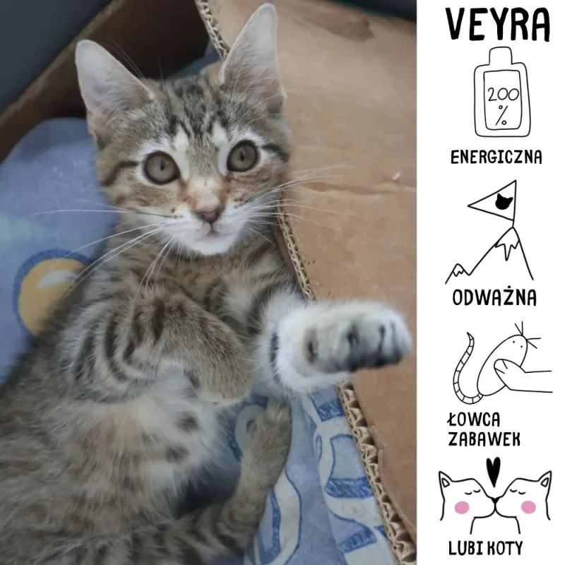 Veyra