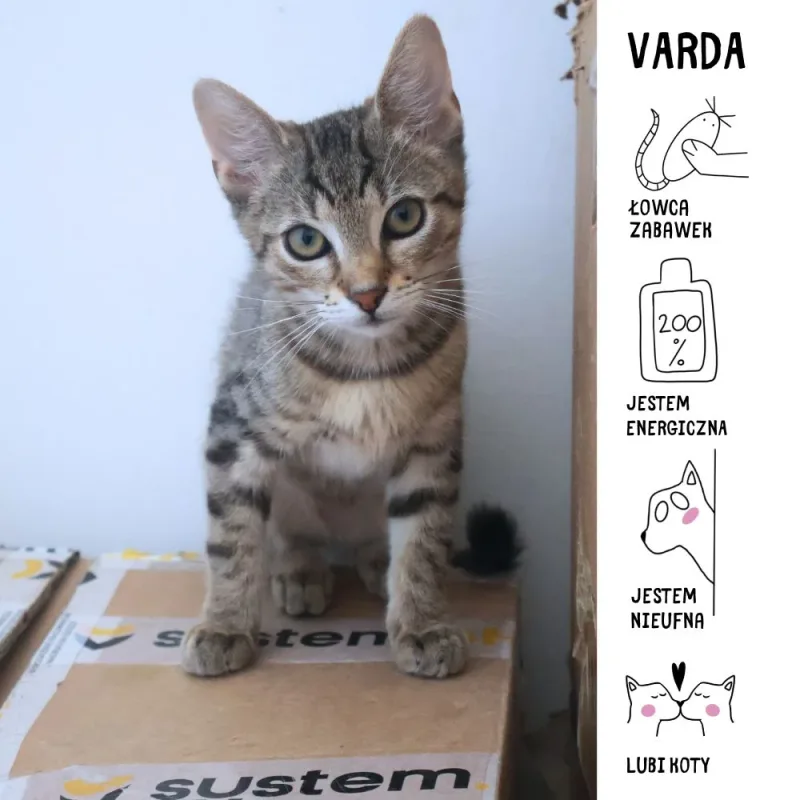Varda