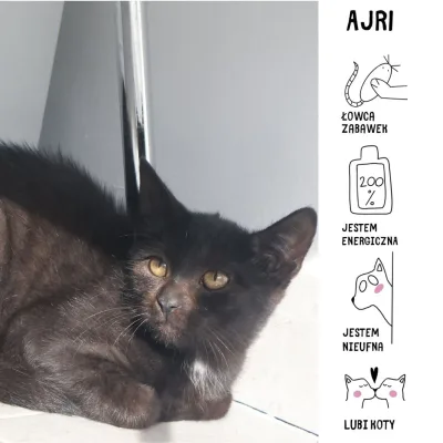 Ajri