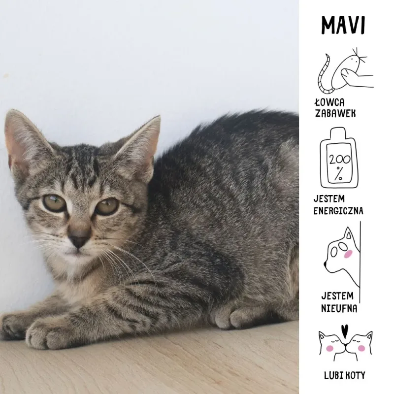 Mavi