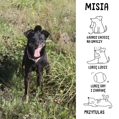 Misia
