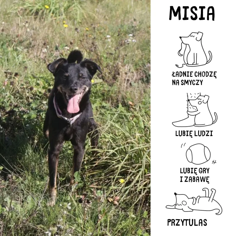 Misia