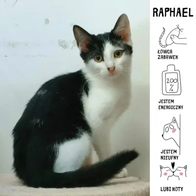 Raphael