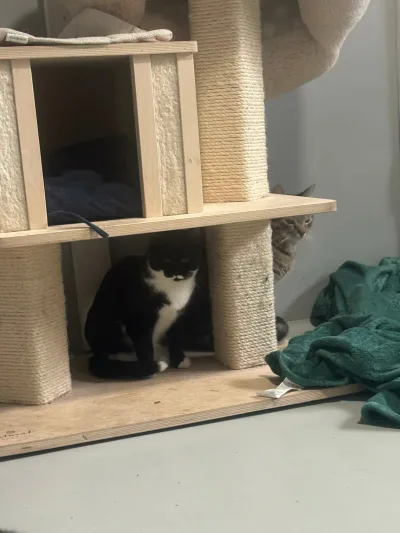 Della