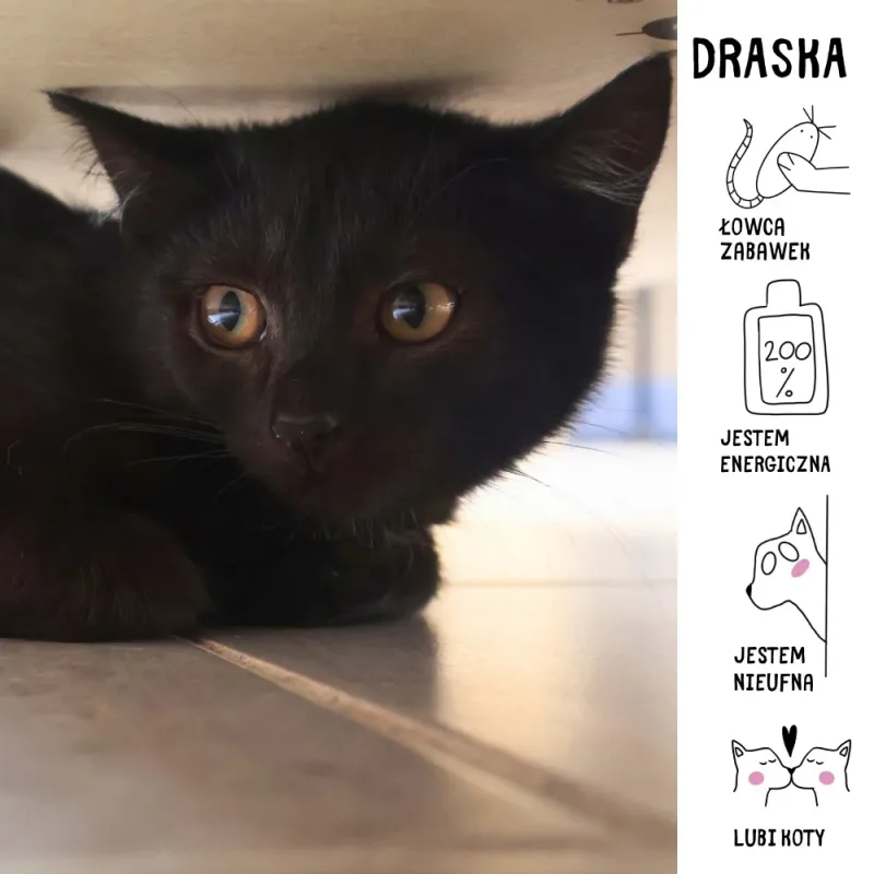 Draska
