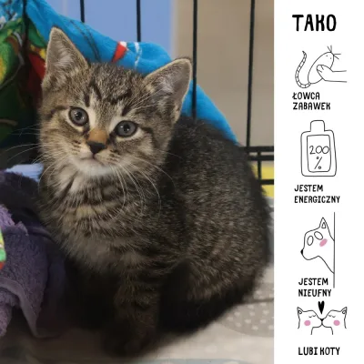 Tako