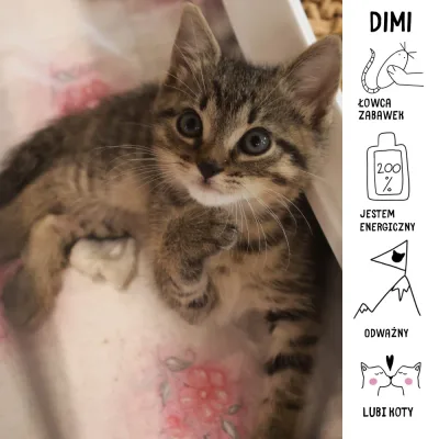 Dimi