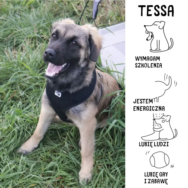 Tessa