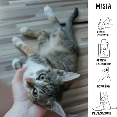 Misia