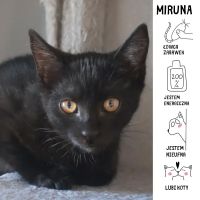 Miruna