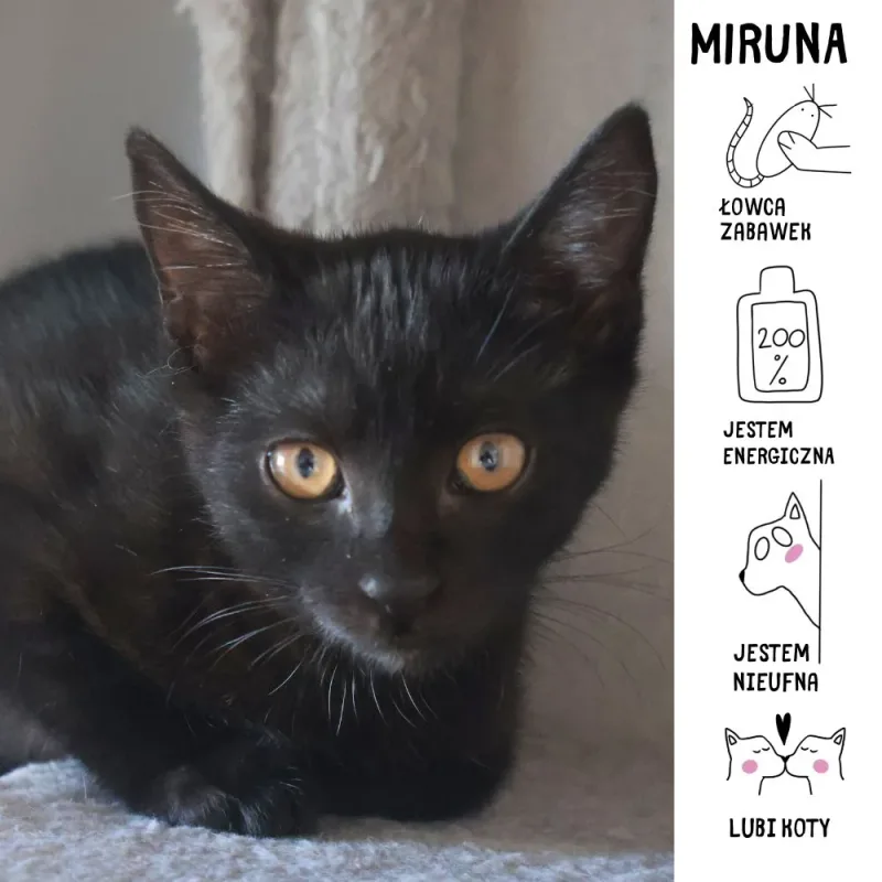 Miruna