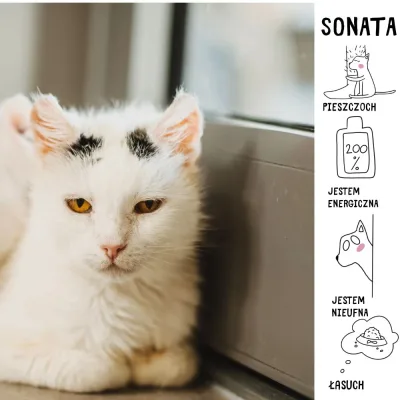Sonata