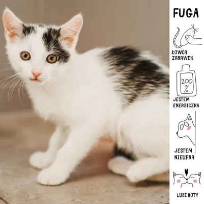 Fuga