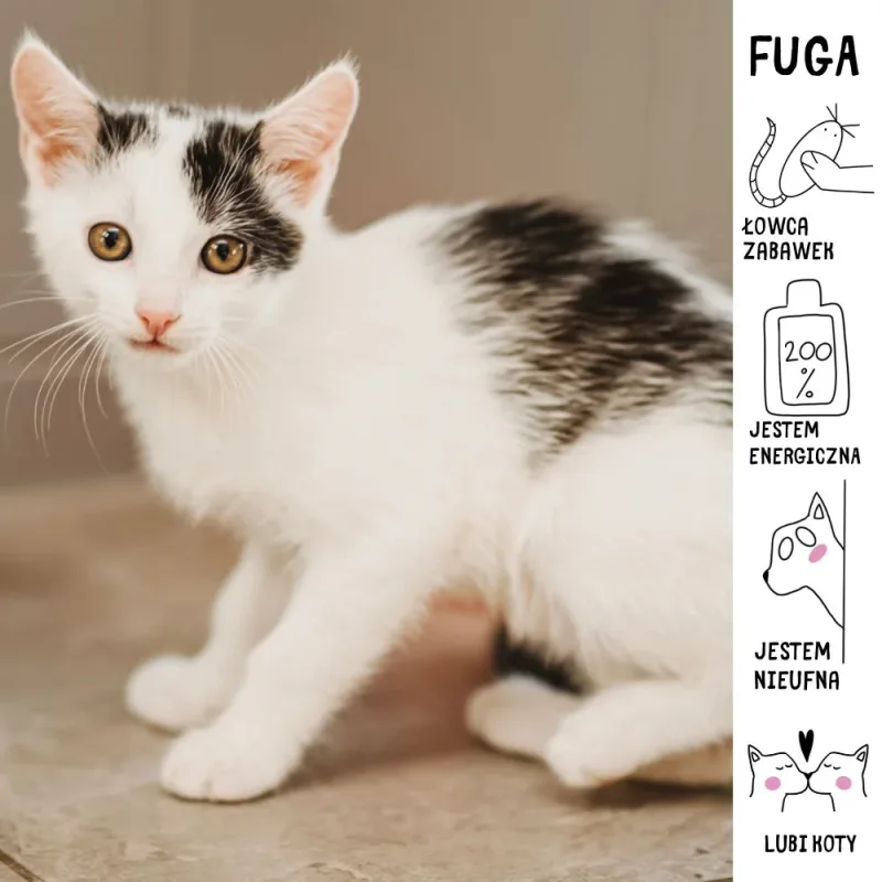 Fuga