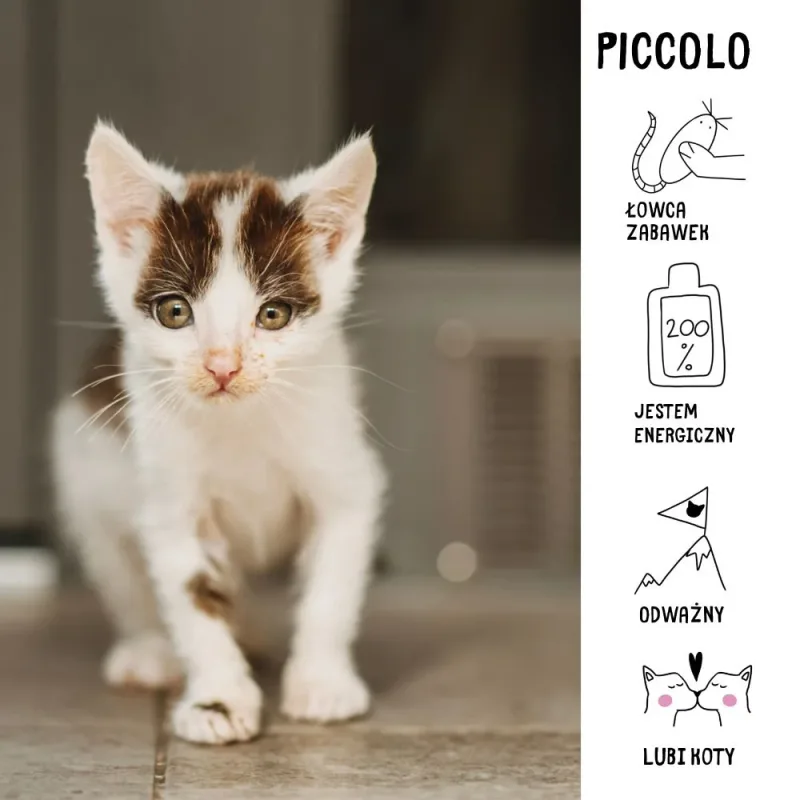 Piccolo