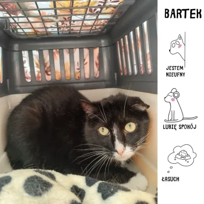 Bartek