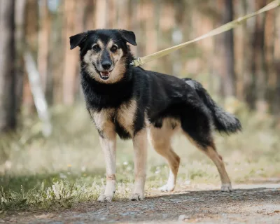 Max