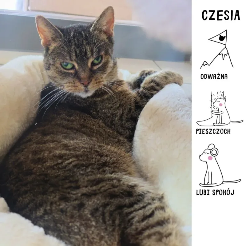 Czesia