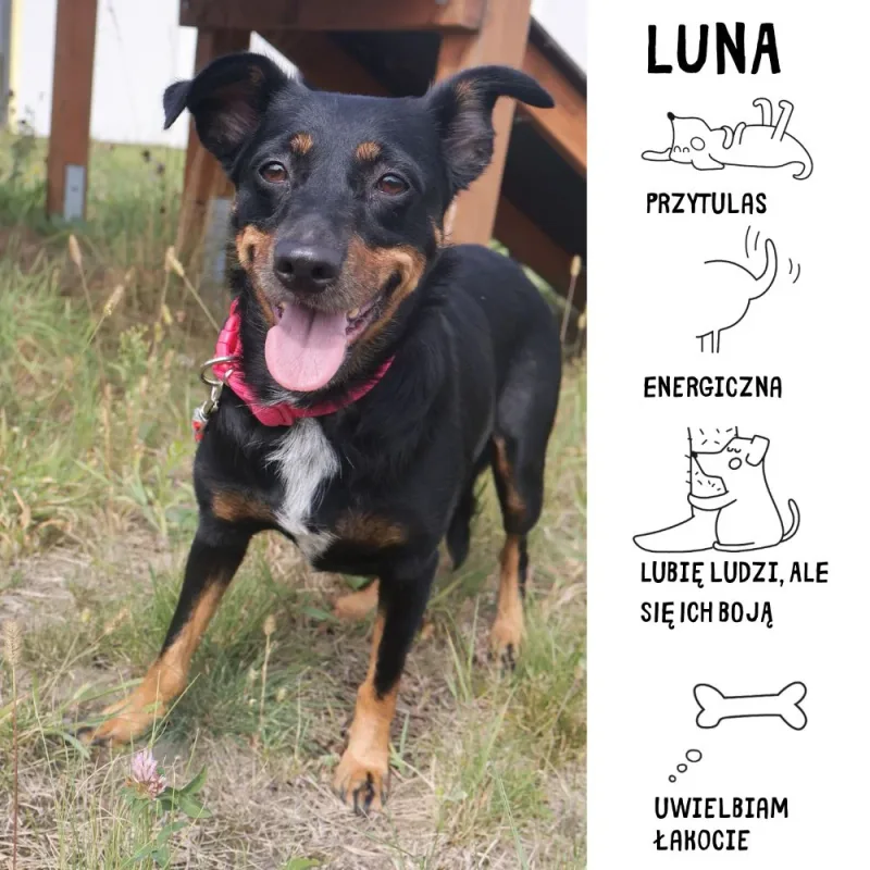 Luna Seniorka