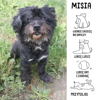 Misia Czarna