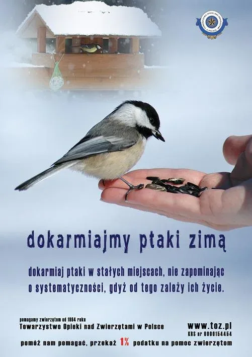 Działalność Koła Miłośników Zwierząt w SP nr 4