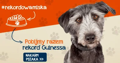 Rekord Guinessa w liczbie pełnych misek w schroniskach pobity