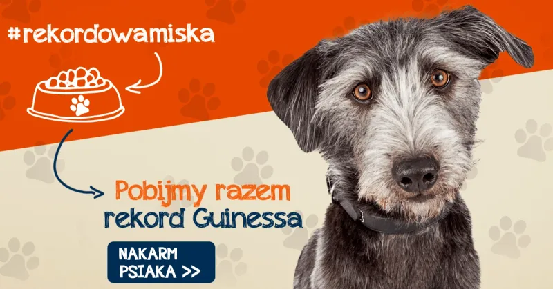 Rekord Guinessa w liczbie pełnych misek w schroniskach pobity