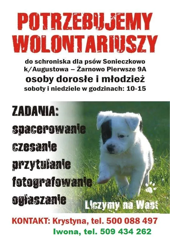Nabór wolontariuszy w Suwalskim Oddziale TOZ