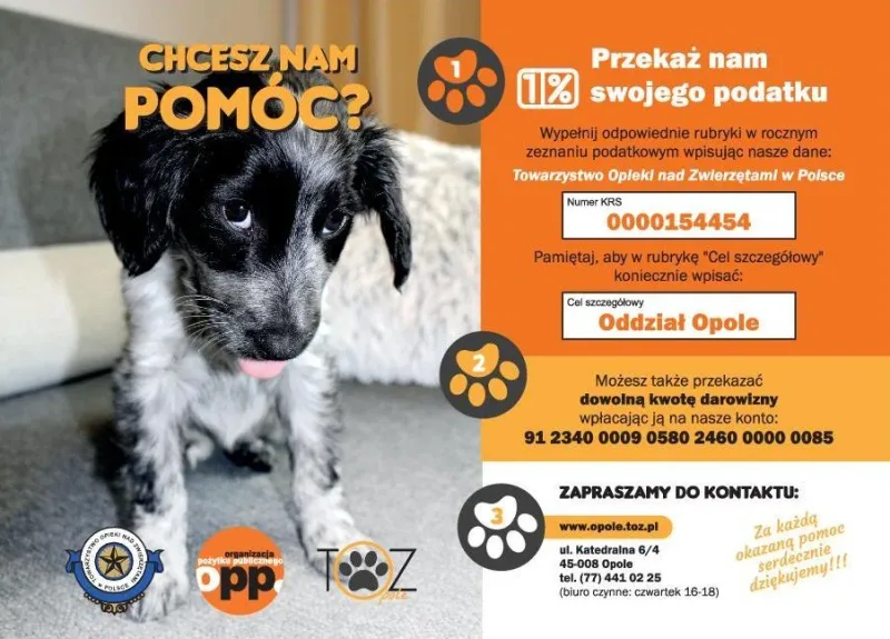 Jak możesz pomóc zwierzętom